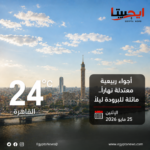 هدوء بسوق الصرف.. سعر الدولار يحافظ على استقراره اليوم