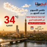 الأخضر بكام النهارده؟.. تعرف على سعر الدولار في البنوك المصرية