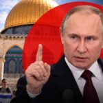 كانت هتدخل صدور الناس! إعدام ربع مليون علبة سجائر مسرطنة ومهربة في مطروح!